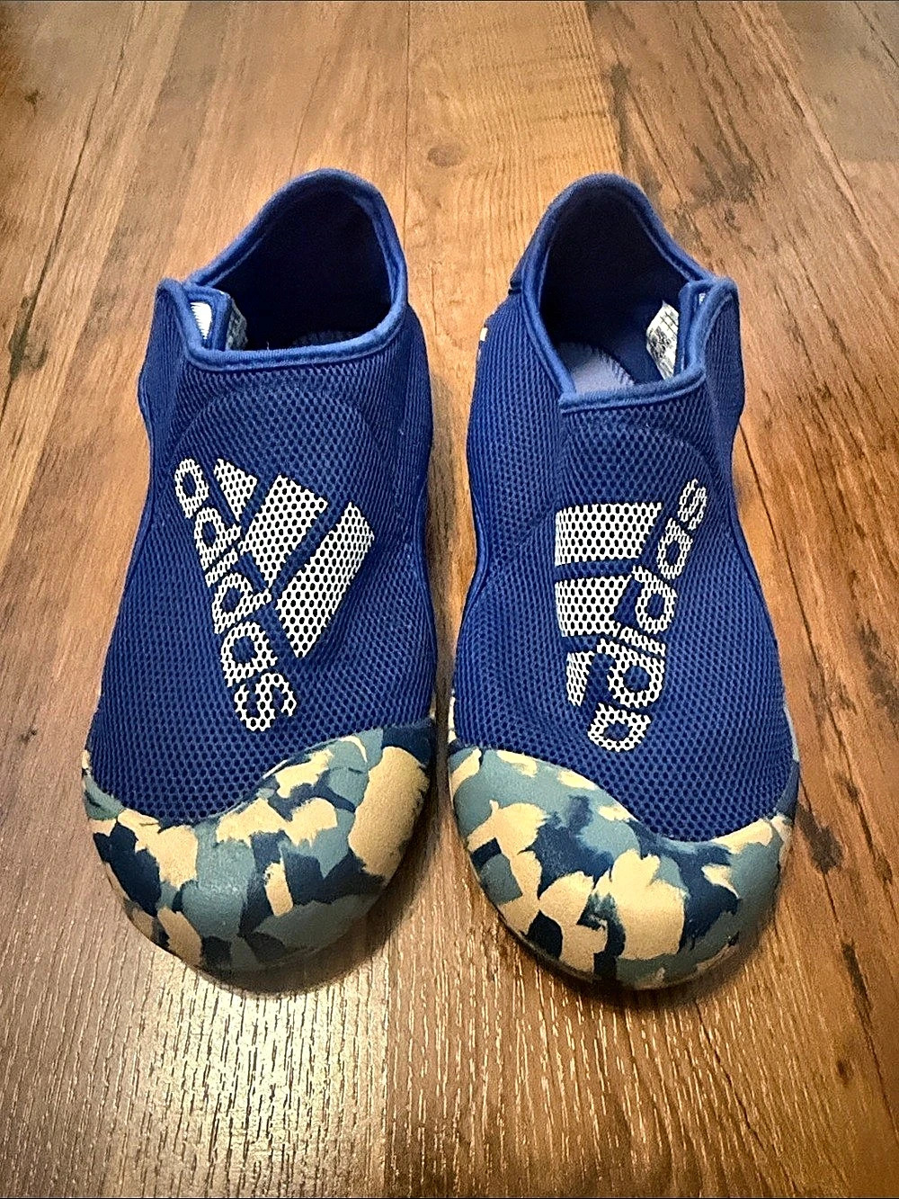 adidas Altaventure Water Shoes Blue & Green